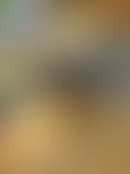 Puszyste ciasto z jagodami bez miksera