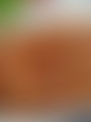 Śledzie po cygańsku - Prosty przepis 😊 spróbujcie koniecznie ✅