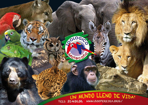 Zoológico Matecaña