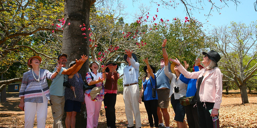 Sherwood Arboretum Guided Walk