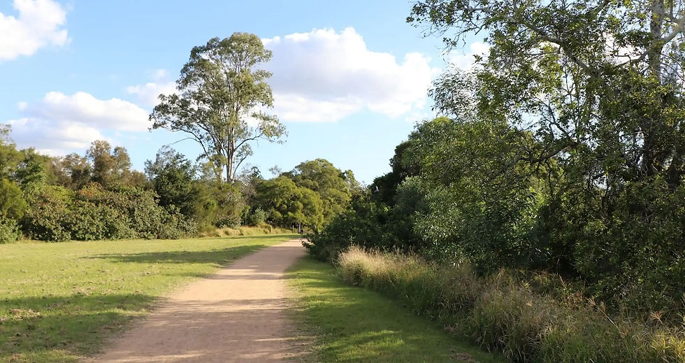 Birdwatching with Hugh Possingham