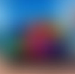 ¡Vive una experiencia única en Mazatlán, la tierra que inspiró a Pedro Infante! 🌅 