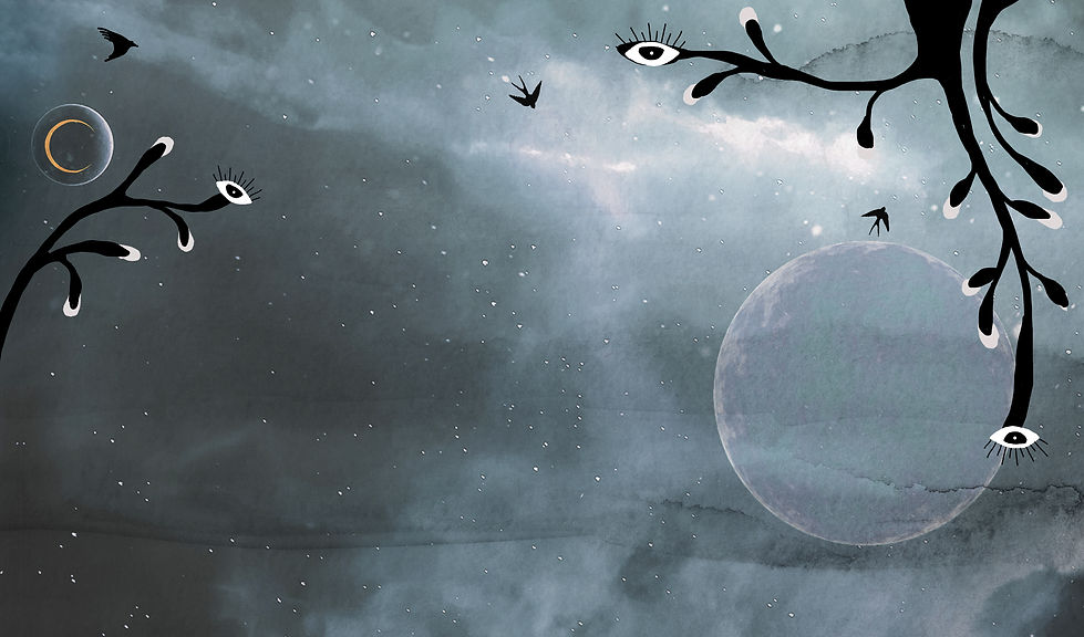 websitebanner2.jpg