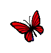 红色蝴蝶.gif