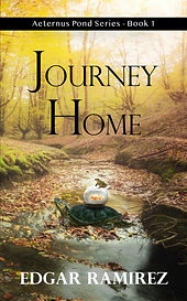 Journey Home
