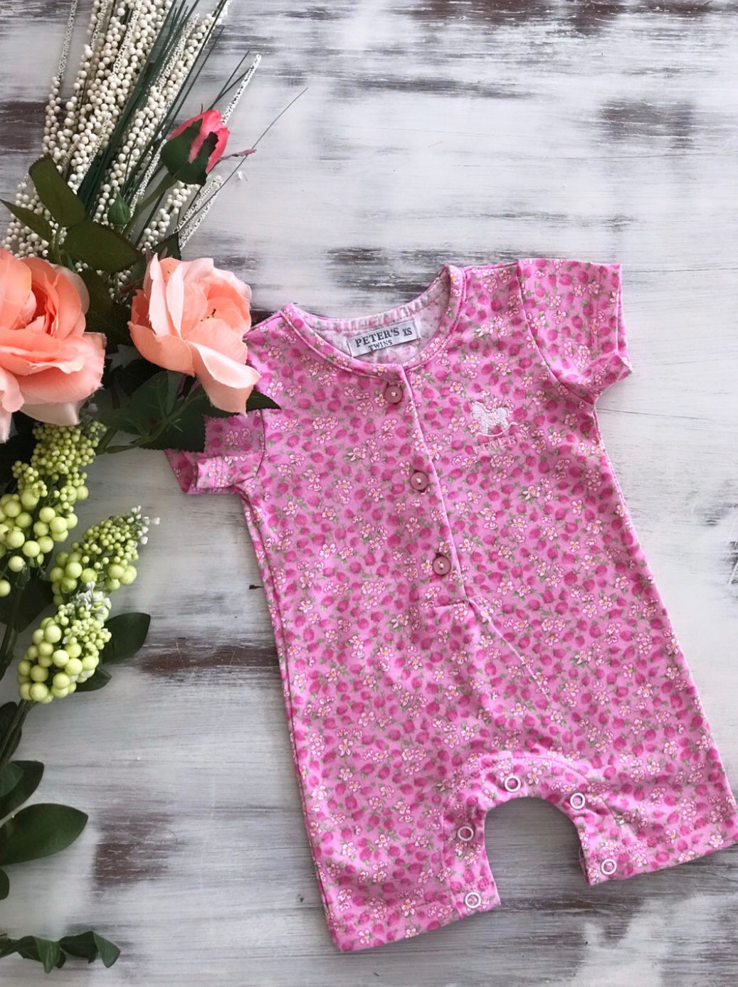 Enterito Caballito de Madera Frutillitas