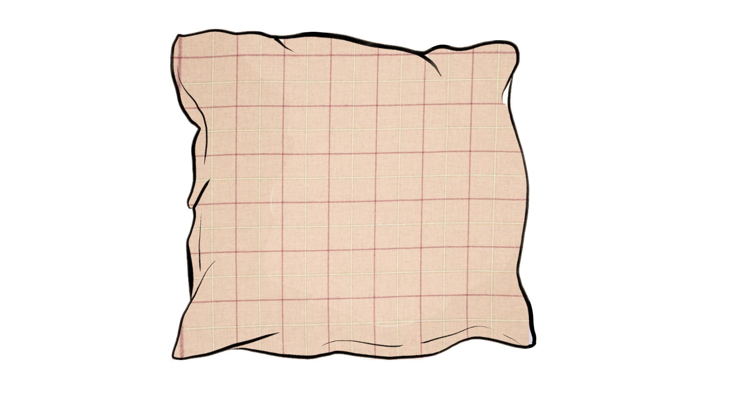 chess kintyre raspberry scatter cushion