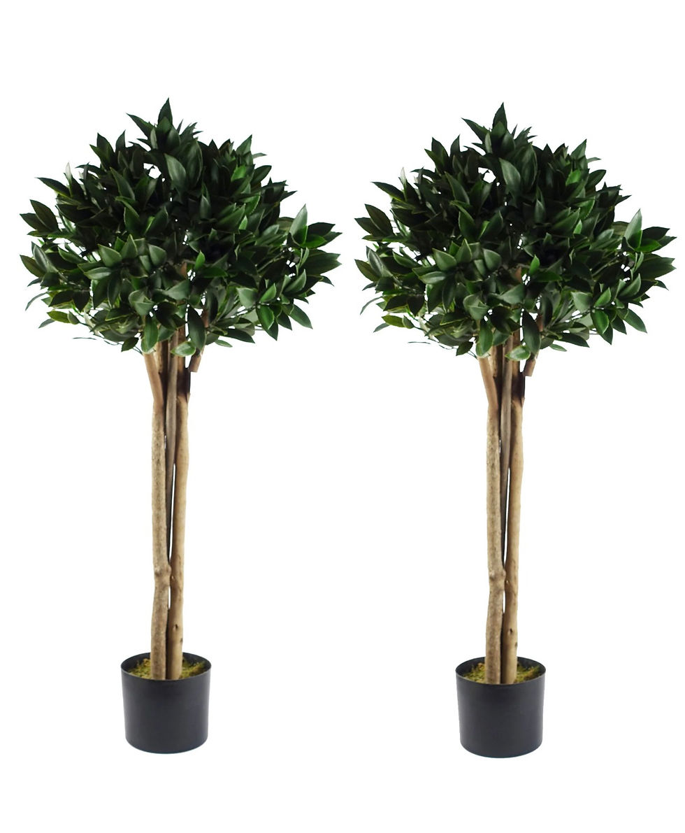 Thumbnail: Pair of 120cm artificial bay trees with UV-resistant foliage, each in a nursery pot.