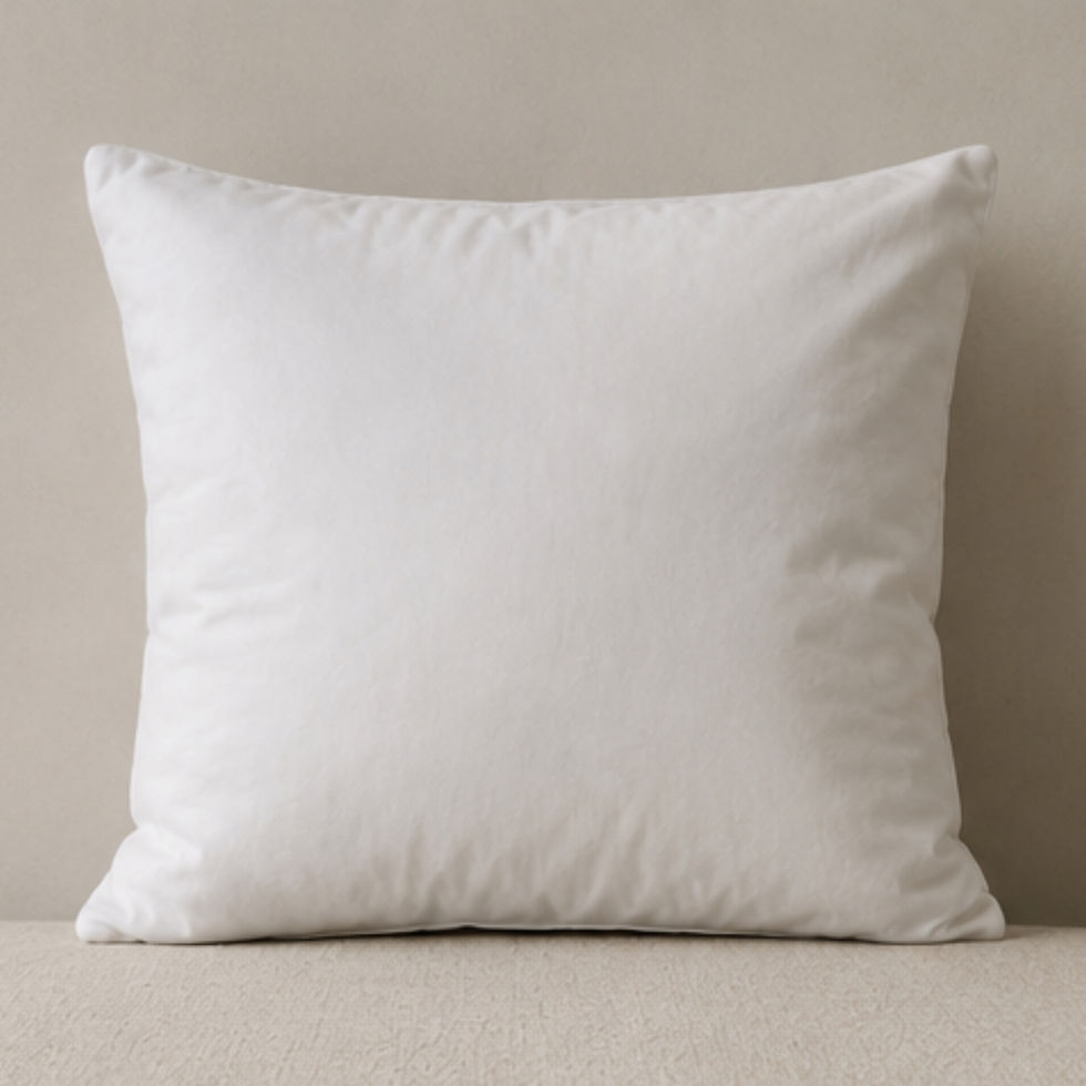 White micro loft cushion insert shown from the front with soft natural creasing