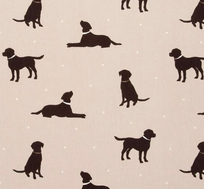 Clarke & Clarke Rover Scatter Cushions