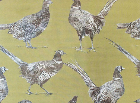 Voyage Venatu Pheasant in Corn