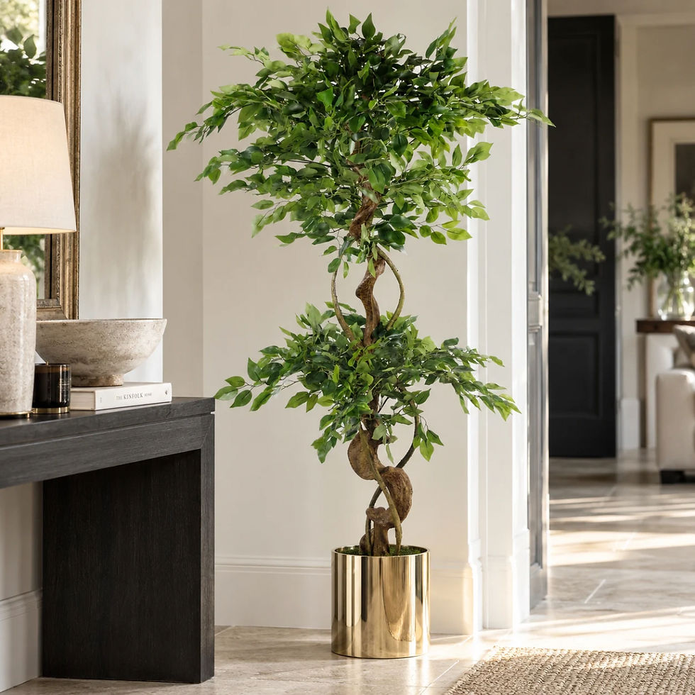 Thumbnail: 150cm Twisted-Trunk Japanese Ficus | Artificial Tree