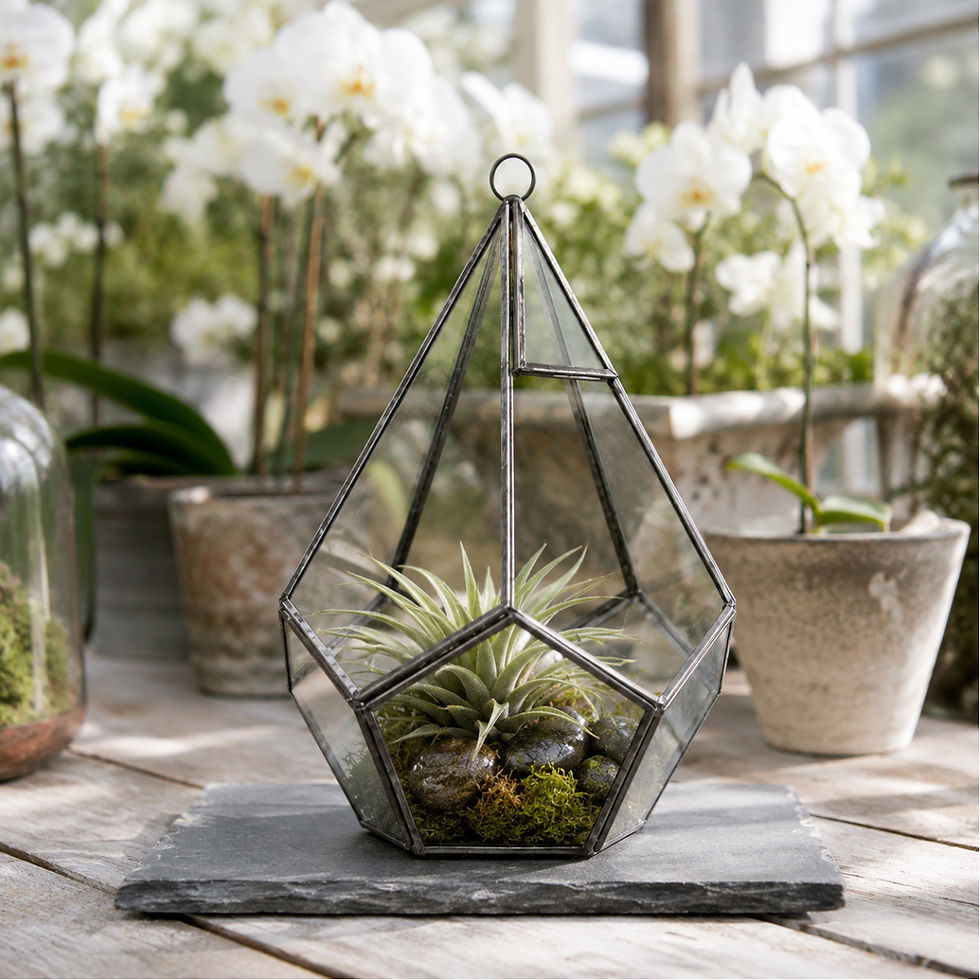 Large pentagon-shaped glass terrarium with a brass frame set in the orchid glass house