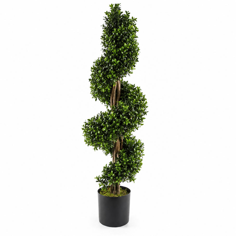Thumbnail: Single 120cm artificial spiral buxus topiary in its supplied plastic pot.