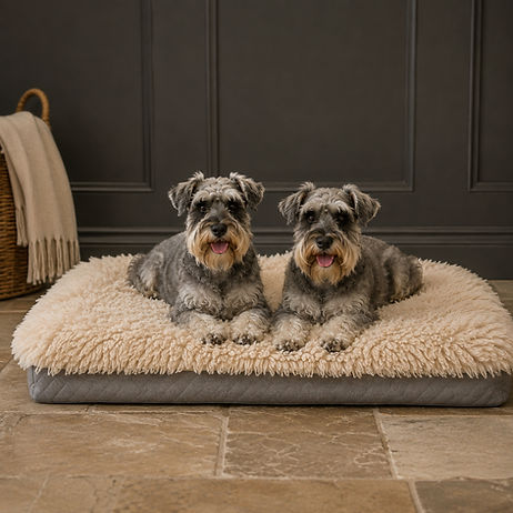 Sheep Wool Dog Bed - Schanauzer on Oyster.png