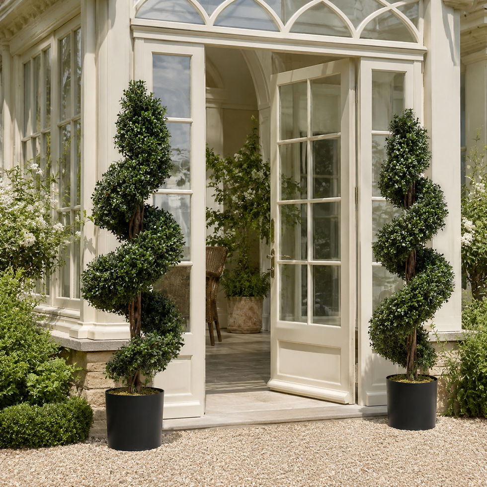 Pair of spiral buxus topiaries framing the entrance to a country-house orangery.