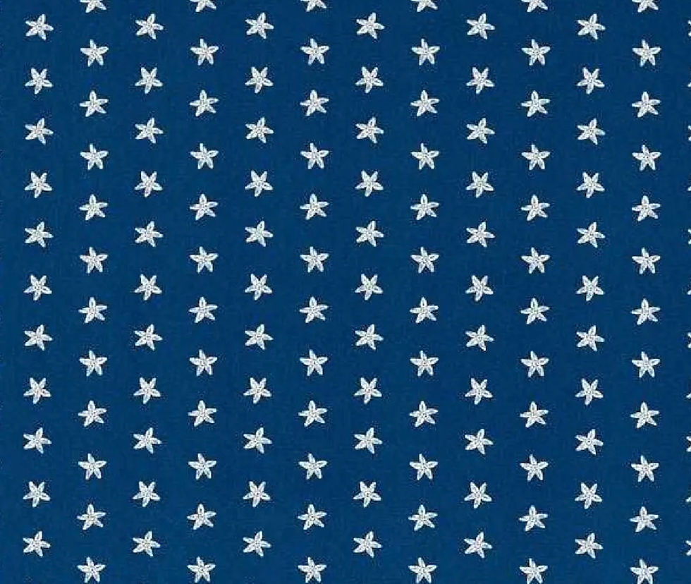 clarke and clarke seastar navy