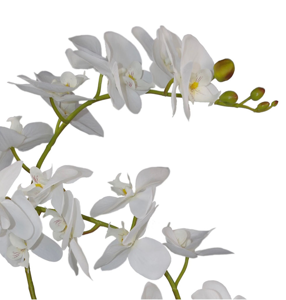 Thumbnail: 65cm artificial white moth orchid with flexible wired stems