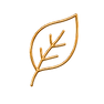 EBR - Support Icons - Nature - Leaf - A_edited.png