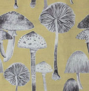 Voyage Toadstool in Corn