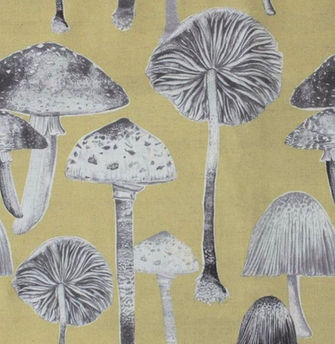 Voyage Toadstool in Corn