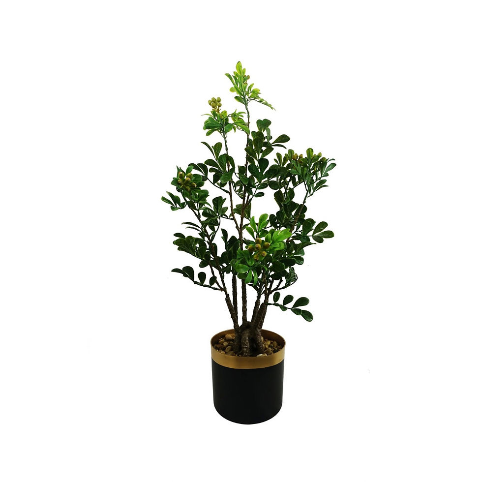 60cm Artificial Aglaia Odorata Bonsai Ficus Tree