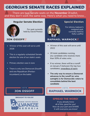 Georgia's Senate Races Explained