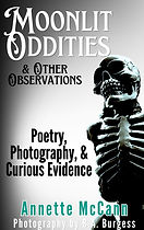moonlit oddities poetry book.jpg