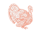 retro%20turkey_no%20type_edited.png