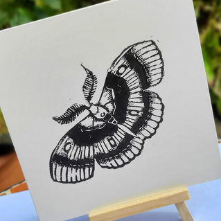 Moth Card Lino Print