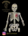 sticker design.jpg