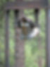 hall_bell.jpg