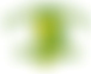 Are You Ready to Cheer on Palmerston's Fall Teams?