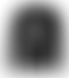 PALMERSTON SPIRIT WEAR!