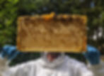 Pat the beekeeper with a nice frame of honeycomb