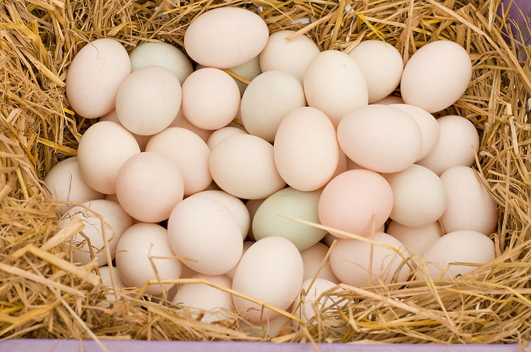 iStock-461298907.jpg