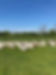 IMG_3410.JPEG