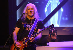 Cats In Space - Photograph 27