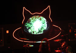 Cats In Space - Photograph 7