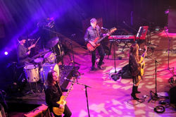 Demi Marrier - Photograph 5