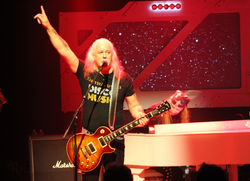 Cats In Space - Photograph 23