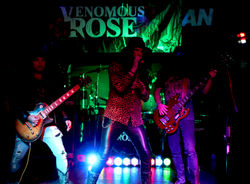 Venomous Rose 17