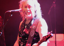 Cats In Space - Photograph 22