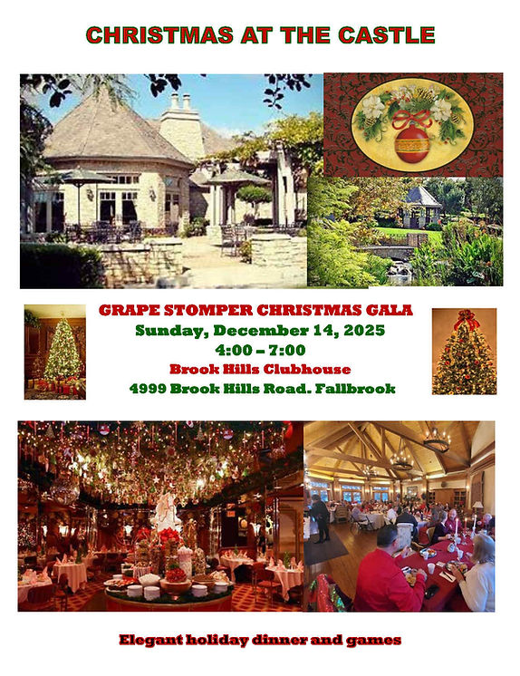 Christmas at the Castle   Dec 2025_Page1.jpg