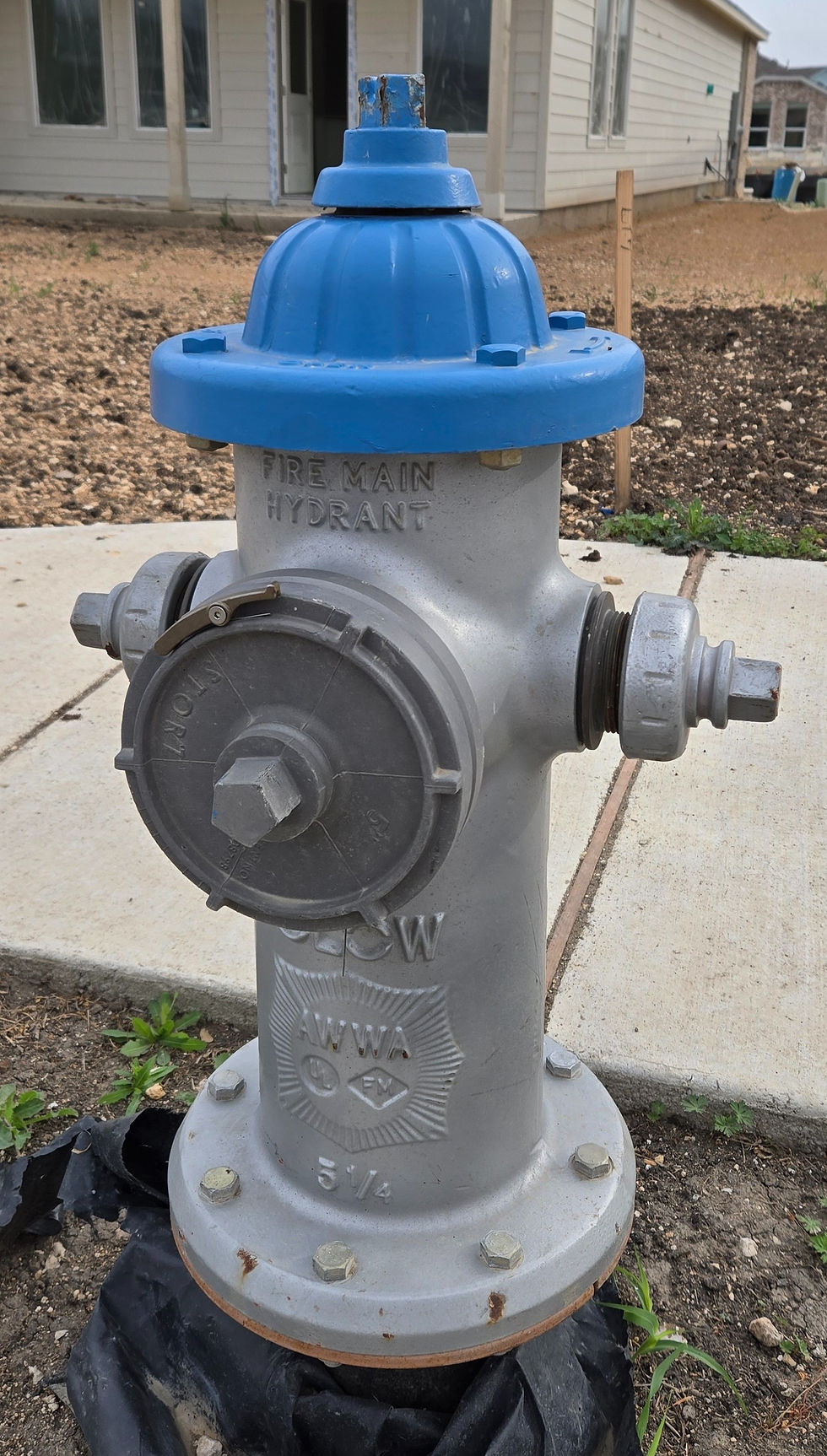 Silver hydrant with blue bonnet