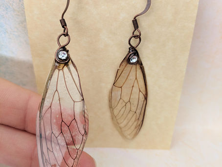 The Whimsy of a Cicada Wing