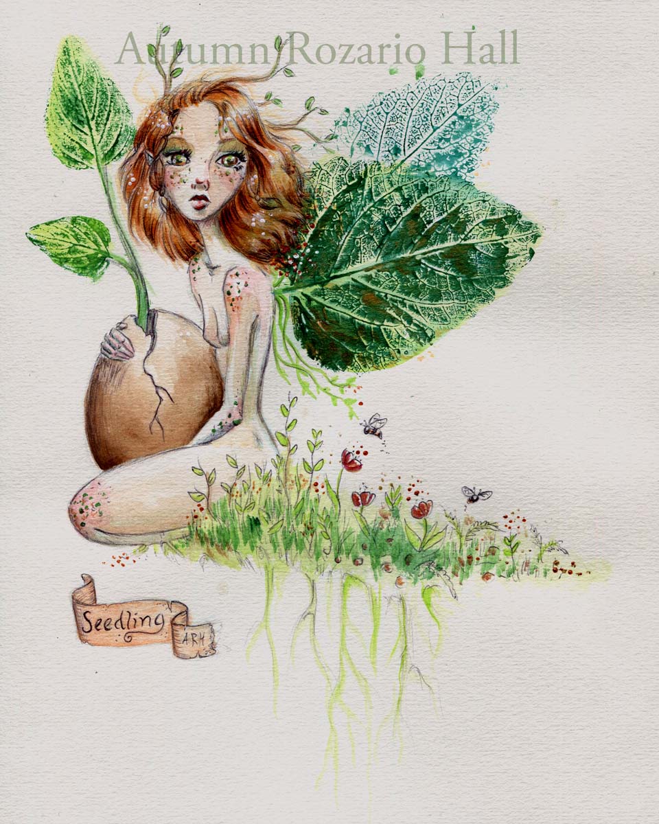 Seedling
