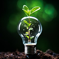 vecteezy_sustainable-energy-and-growth-concept_54358197.jpg