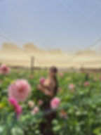caaa9d04-7a6c-4915-8b02-682666d414ba.JPG