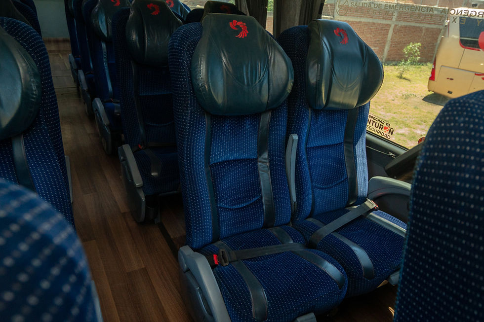 Miniatura: Man Irizar PB 2014